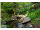 309 Glen Oaks Rd, Brogo NSW 2550