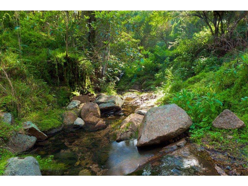 309 Glen Oaks Rd, Brogo NSW 2550