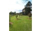 424 West Kameruka Road, Bega NSW 2550