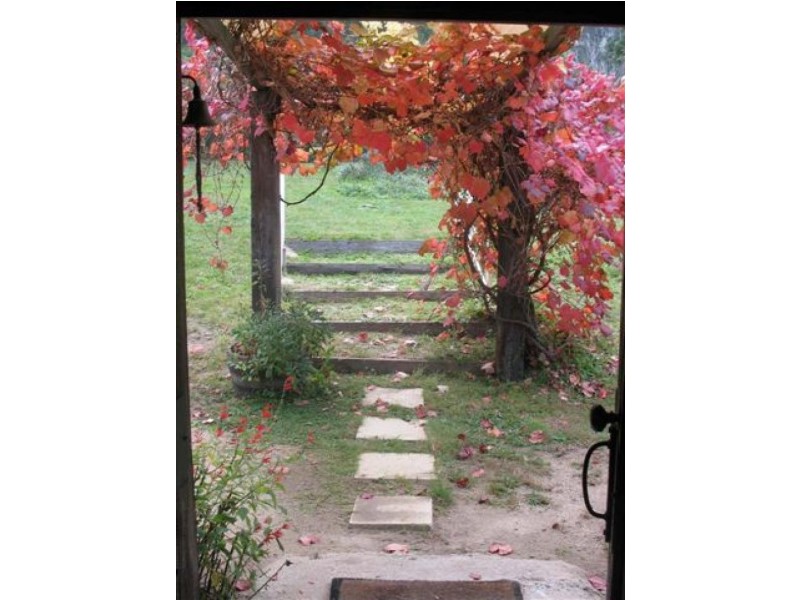 54 Dorrigo Road, Brogo NSW 2550