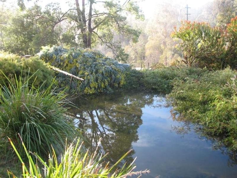 54 Dorrigo Road, Brogo NSW 2550