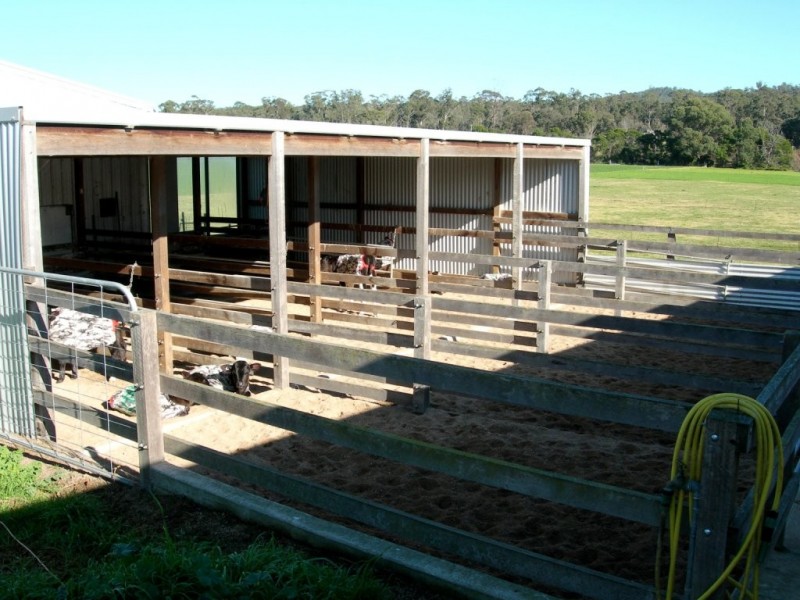 100 Yowaka River Road, Greigs Flat NSW 2549