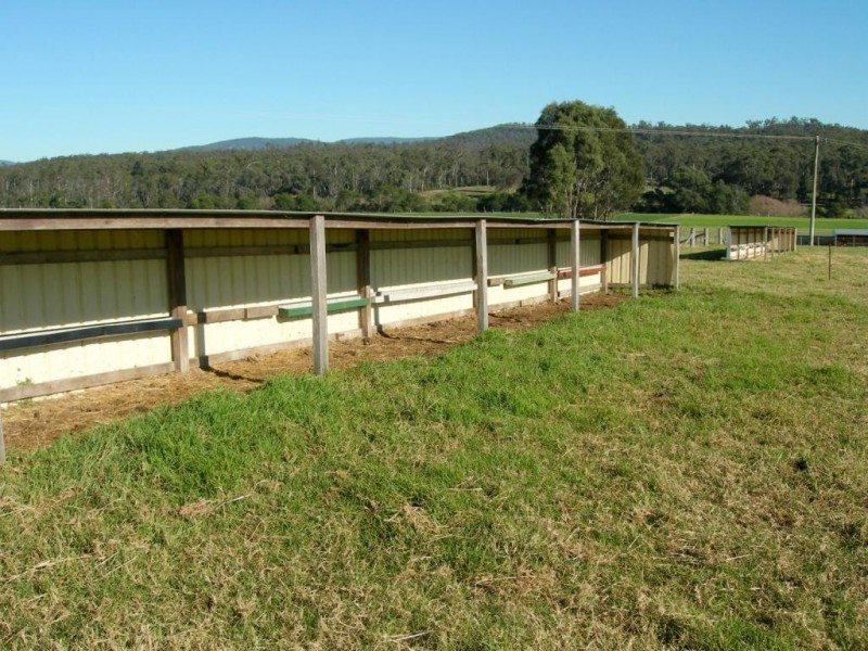 100 Yowaka River Road, Greigs Flat NSW 2549