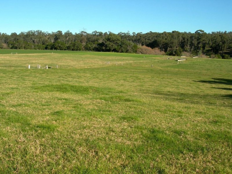 100 Yowaka River Road, Greigs Flat NSW 2549