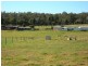 100 Yowaka River Road, Greigs Flat NSW 2549