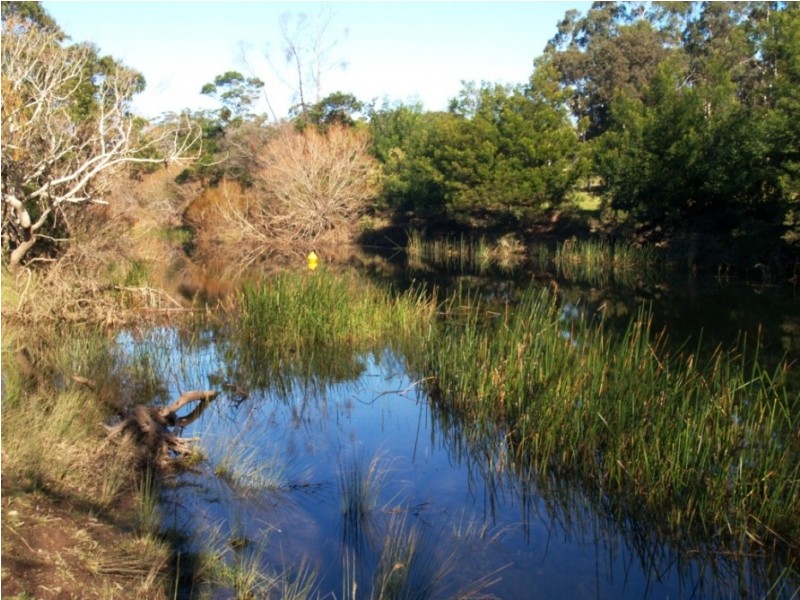 100 Yowaka River Road, Greigs Flat NSW 2549