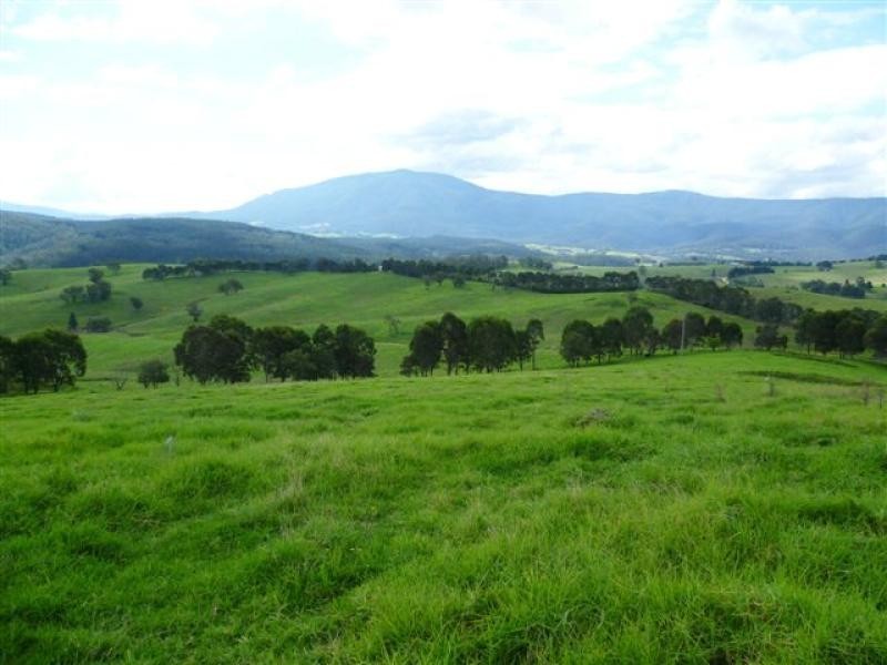 621 Pericoe Rd, Towamba NSW 2550