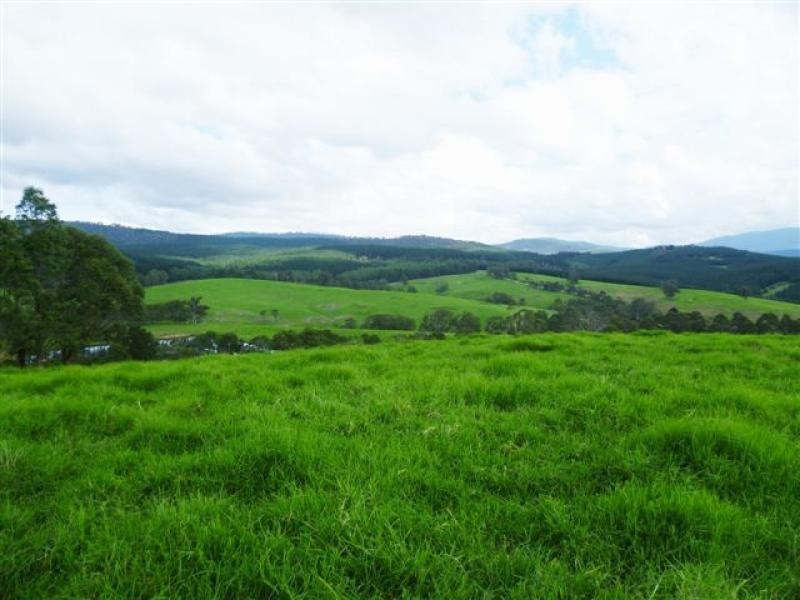621 Pericoe Rd, Towamba NSW 2550