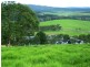 621 Pericoe Rd, Towamba NSW 2550