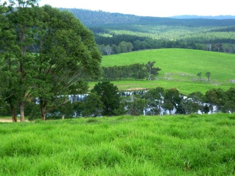 621 Pericoe Rd, Towamba NSW 2550