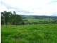 621 Pericoe Rd, Towamba NSW 2550