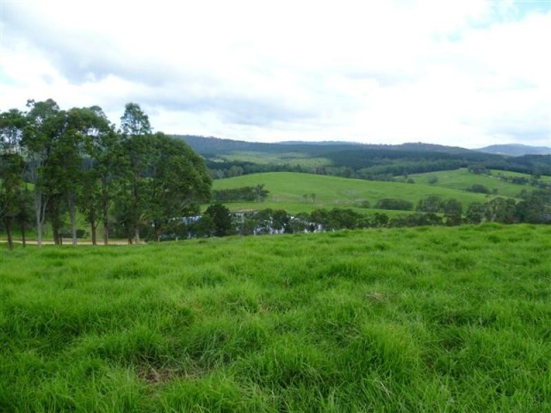 621 Pericoe Rd, Towamba NSW 2550