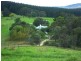 621 Pericoe Rd, Towamba NSW 2550