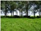 621 Pericoe Rd, Towamba NSW 2550