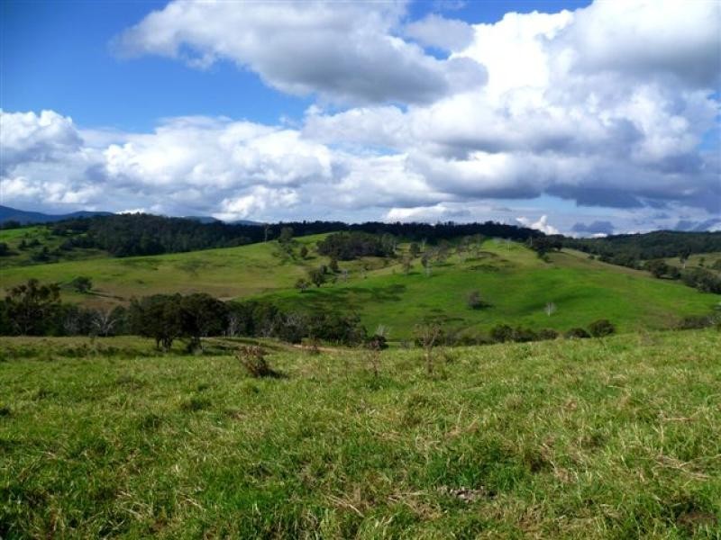 621 Pericoe Rd, Towamba NSW 2550