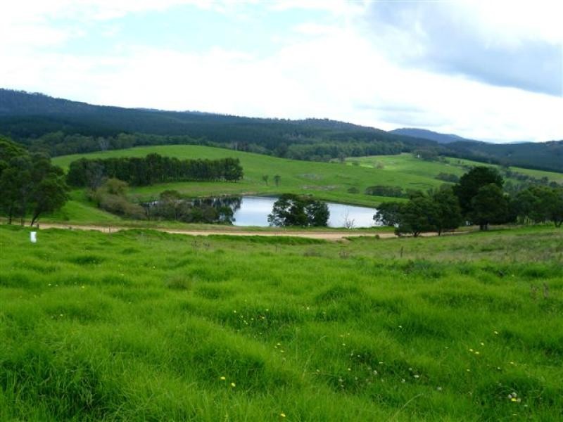 621 Pericoe Rd, Towamba NSW 2550