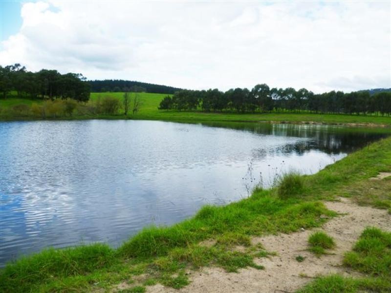 621 Pericoe Rd, Towamba NSW 2550