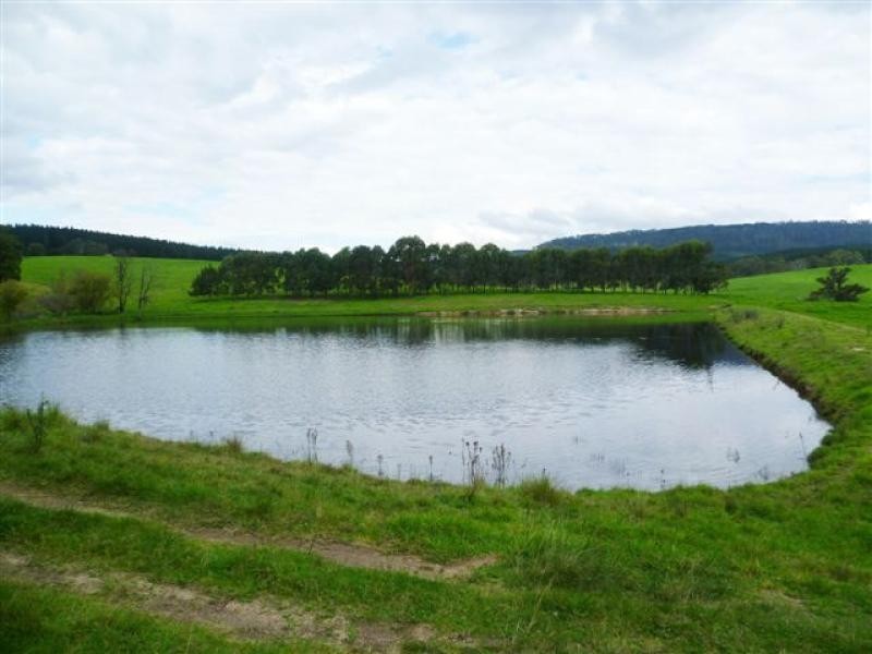 621 Pericoe Rd, Towamba NSW 2550