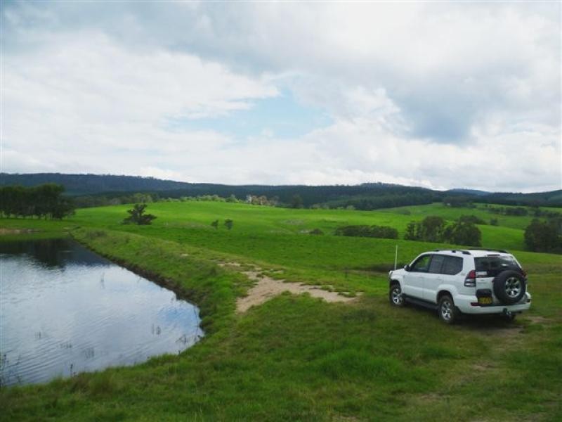621 Pericoe Rd, Towamba NSW 2550
