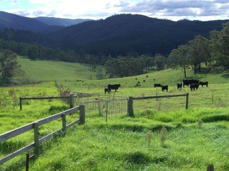 621 Pericoe Rd, Towamba NSW 2550