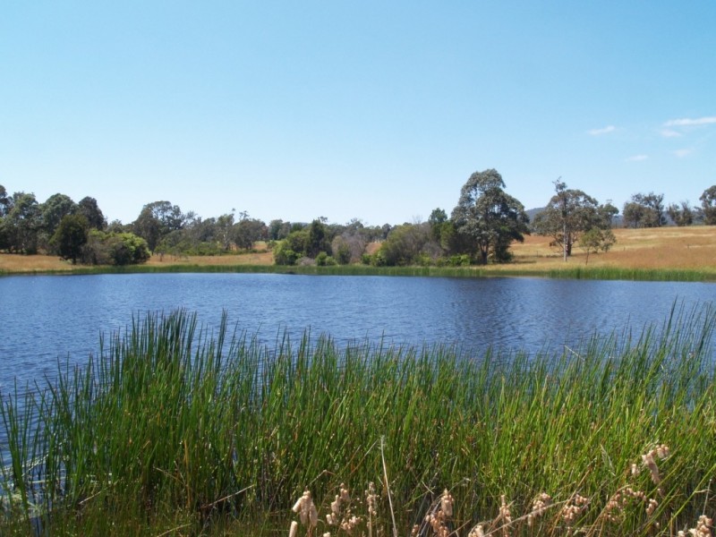 73 Cherry Lane, Wolumla NSW 2550