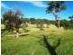 Lot 14 Stringy Park Close, Bega NSW 2550