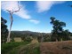 Lot 14 Stringy Park Close, Bega NSW 2550