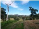 Lot 14 Stringy Park Close, Bega NSW 2550