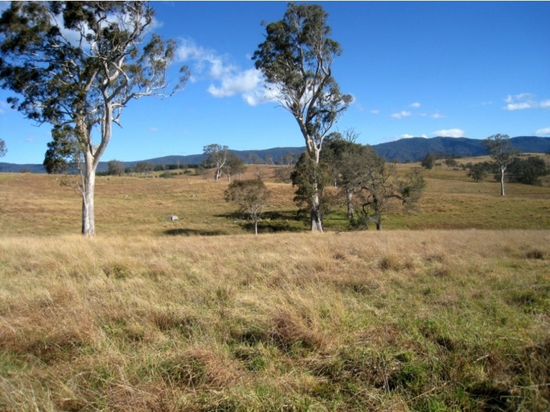 243 Gutheries Rd, Bemboka NSW 2550