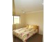 149 Towridgee Lane, Candelo NSW 2550