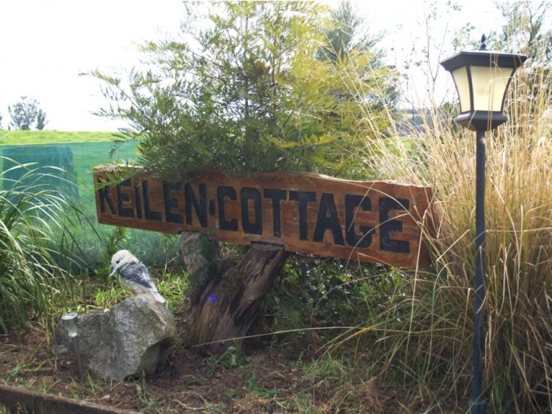 906 Candelo Wolumla Rd, Toothdale NSW 2550