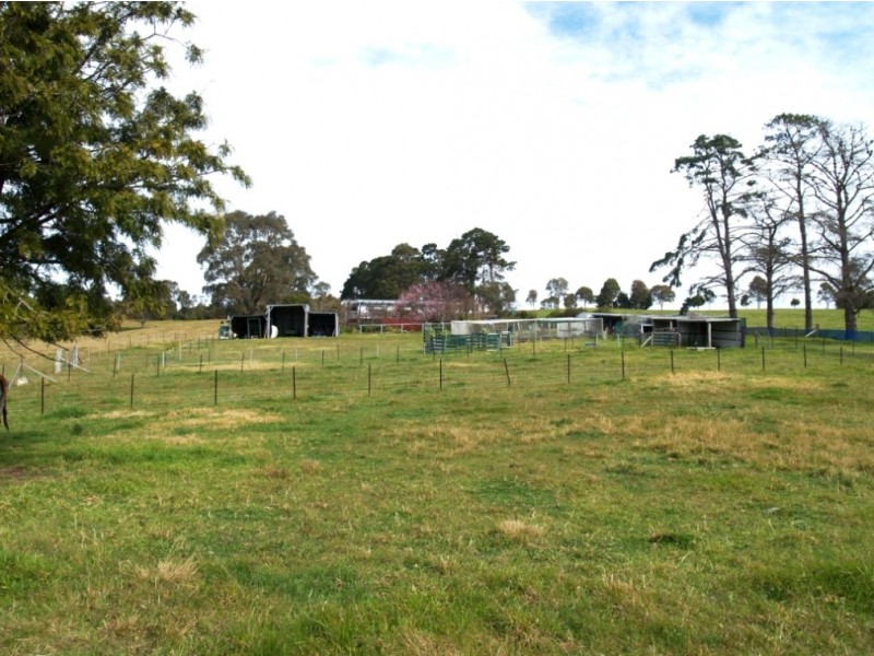 906 Candelo Wolumla Rd, Toothdale NSW 2550