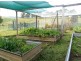 906 Candelo Wolumla Rd, Toothdale NSW 2550