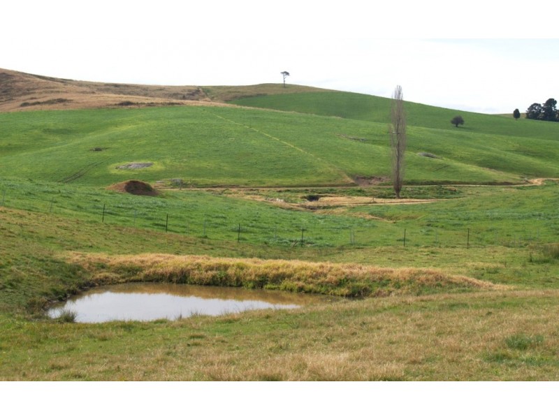 906 Candelo Wolumla Rd, Toothdale NSW 2550