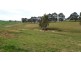 906 Candelo Wolumla Rd, Toothdale NSW 2550