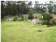165 Yowaka River Rd, Greigs Flat NSW 2549