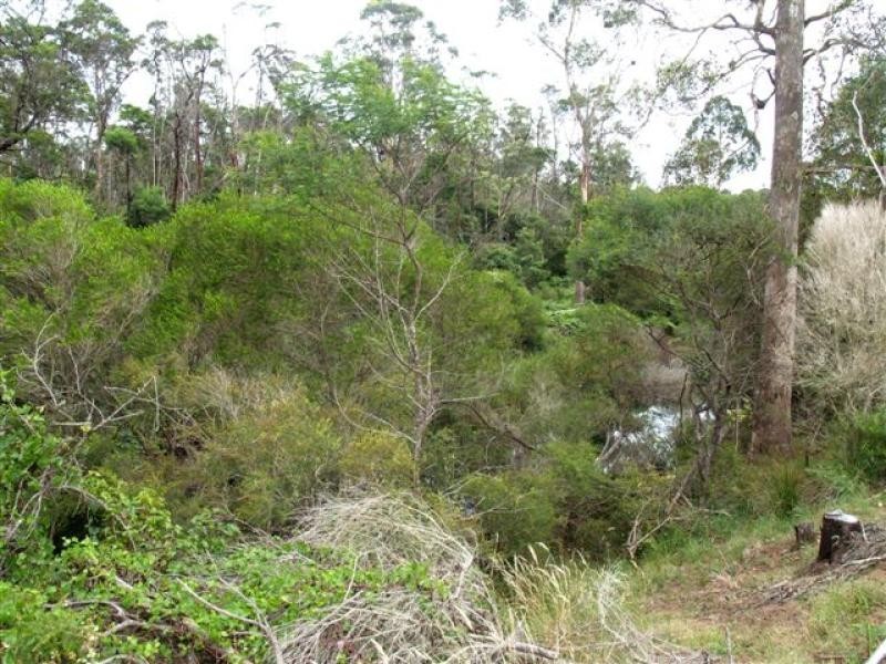 165 Yowaka River Rd, Greigs Flat NSW 2549