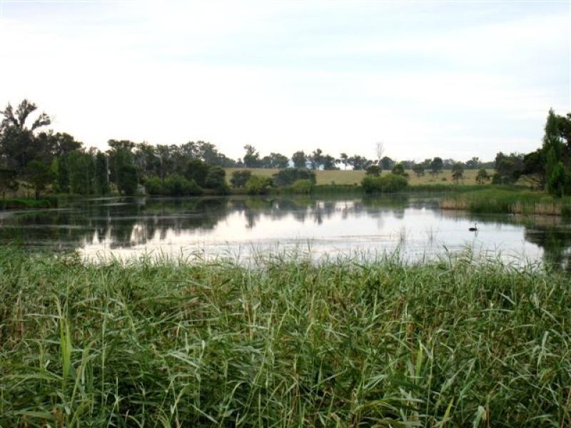 1585 Princes Hwy, Wolumla NSW 2550