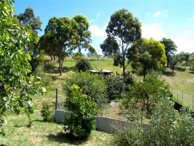 11 Short St, Candelo NSW 2550