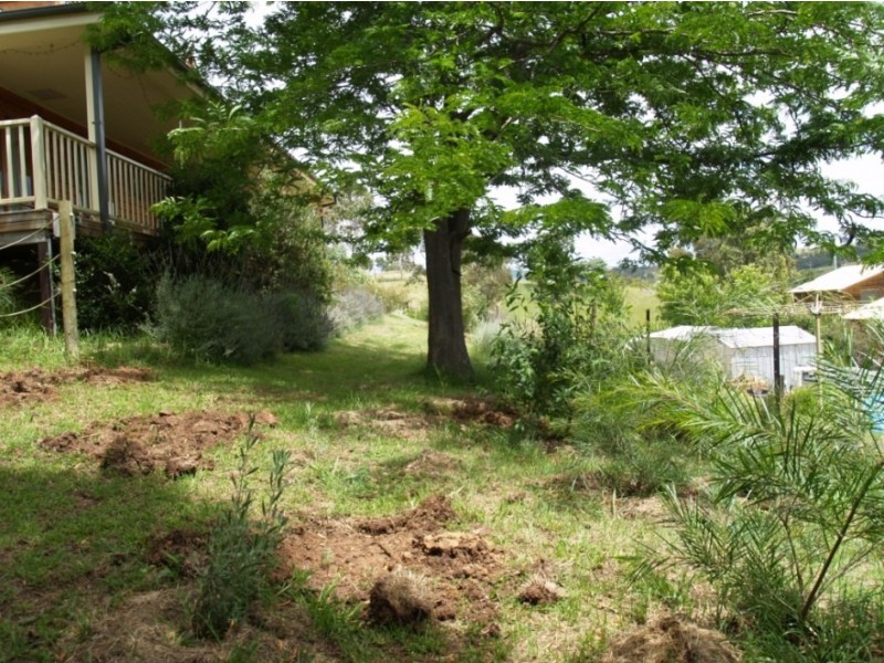 11 Short St, Candelo NSW 2550