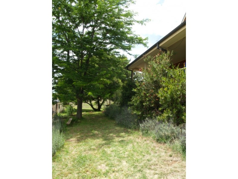 11 Short St, Candelo NSW 2550