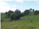 Lot 1/1060 Buckajo Rd, Bega NSW 2550