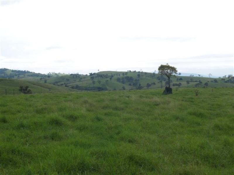 Lot 3/1060 Buckajo Rd, Bega NSW 2550
