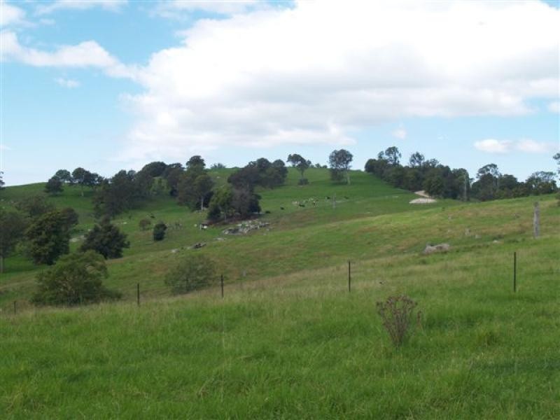 Lot 3/1060 Buckajo Rd, Bega NSW 2550