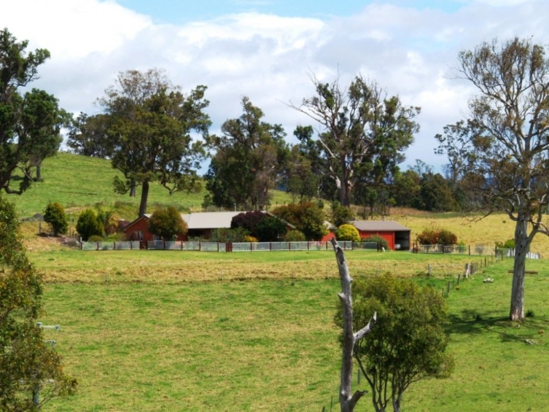 146 Snowy Mtns Hwy, Bega NSW 2550