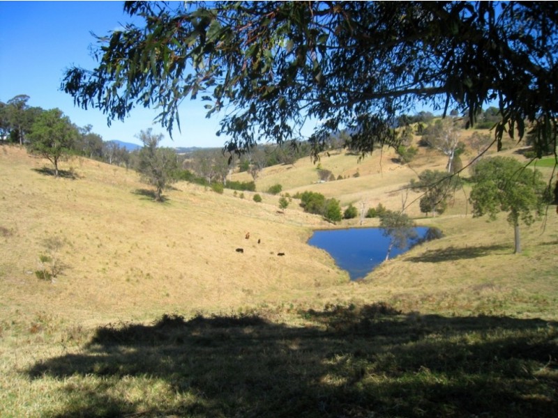 81 Yowrie Rd, Cobargo NSW 2550