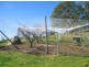81 Yowrie Rd, Cobargo NSW 2550