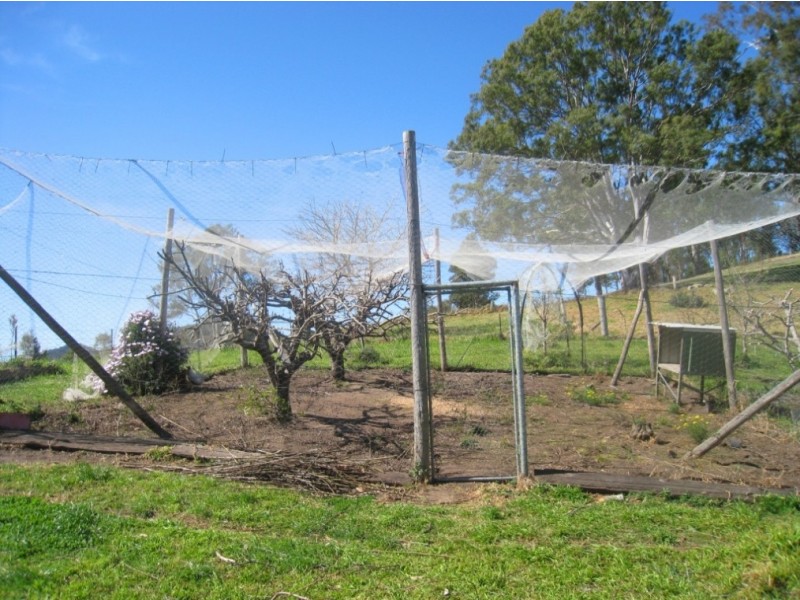 81 Yowrie Rd, Cobargo NSW 2550