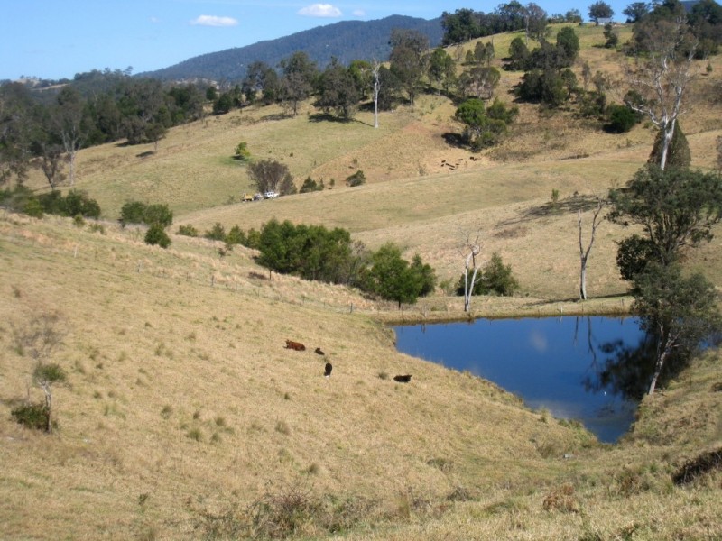 81 Yowrie Rd, Cobargo NSW 2550