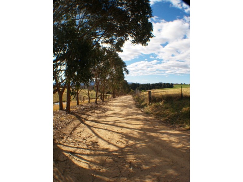 21 Springfield Rd, Candelo NSW 2550